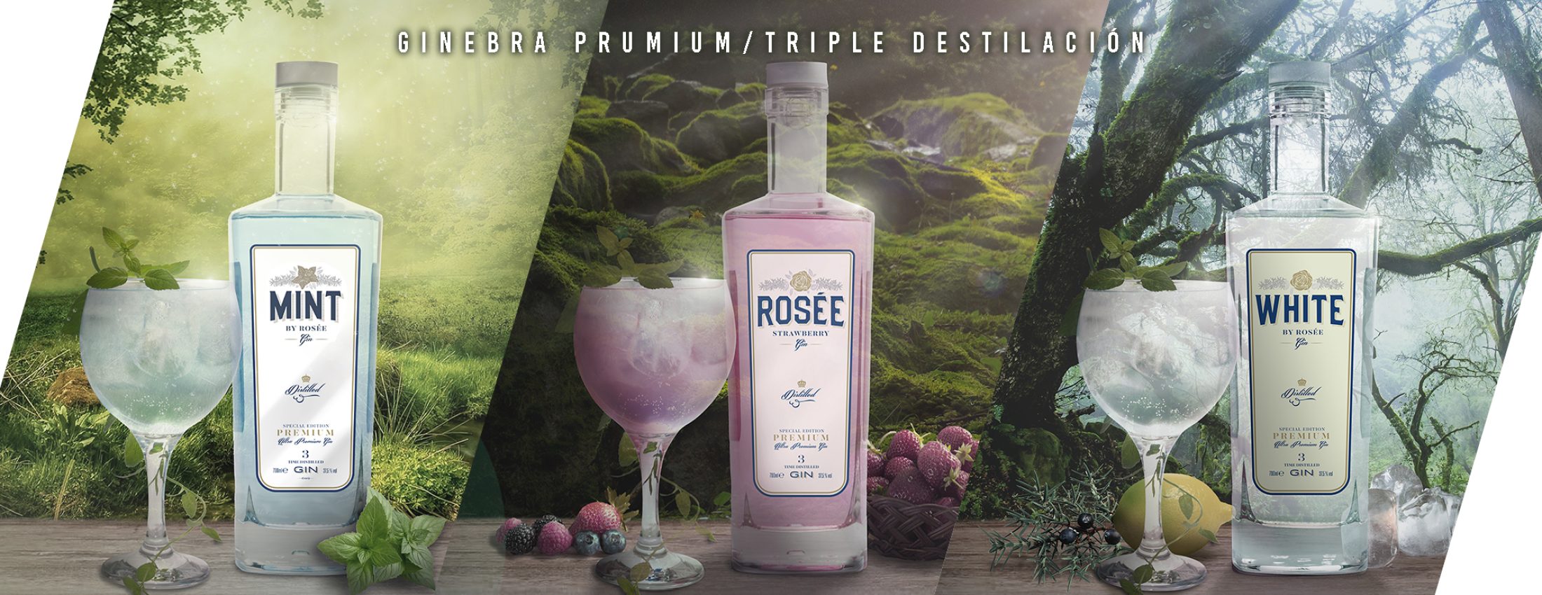 Ginebras Cabecera Web